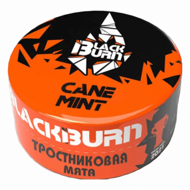 Burn Black 25гр - Cane Mint