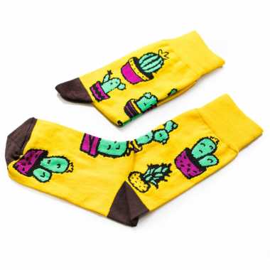 Носки Friday "Кактусы" Цветные