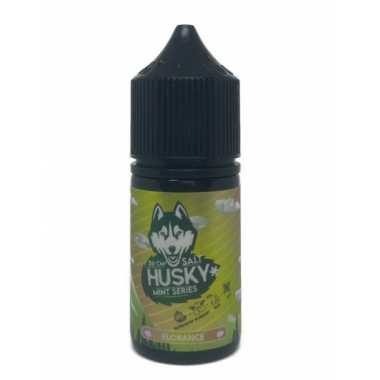 Husky Mint Series SALT 30ml - Florance N